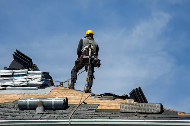 Professional Gutter Installation technician working in Holley, FL